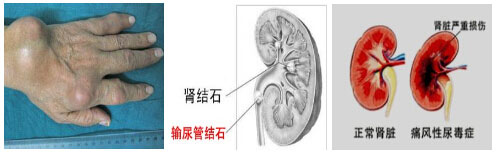 Fꖏ(qing)ֱt(y)ԺʹL(fng)Ɍ(do)ʹL(fng)ʯIY(ji)ʯIK.jpg